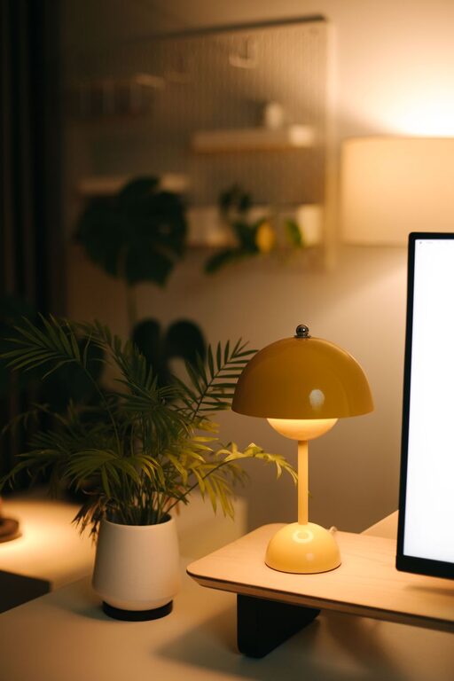 Tips for Creating a Relaxing Home Office Environment